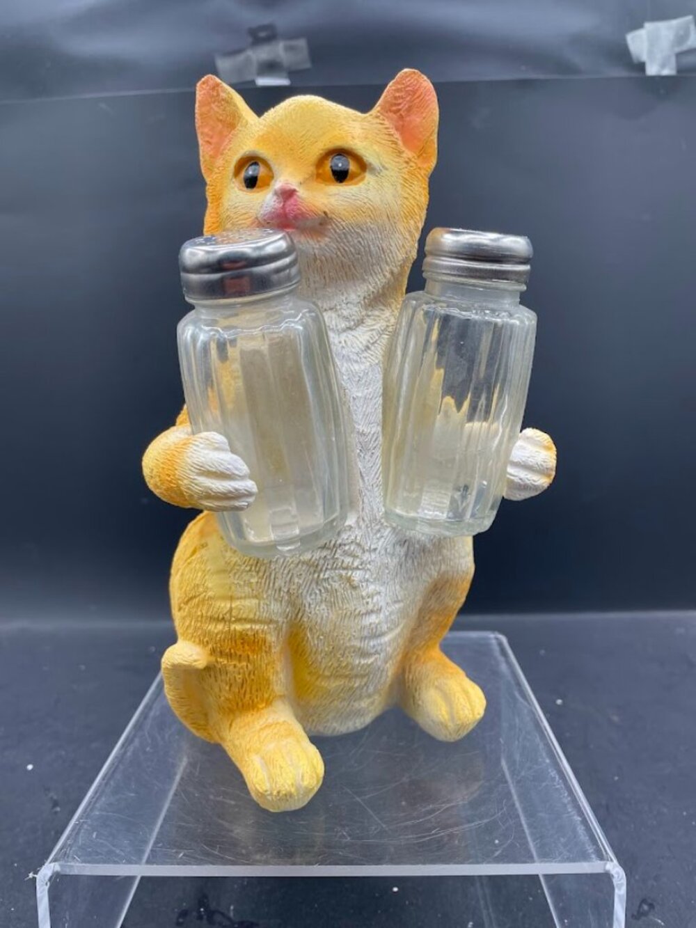 Resin Ginger Orange Tabby Kitty Cat Glass Salt & Pepper Shaker Set Holder